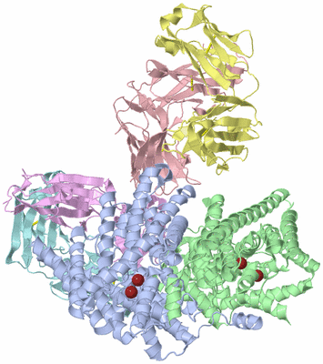 Image Asym./Biol. Unit