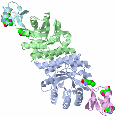 Image Biological Unit 1