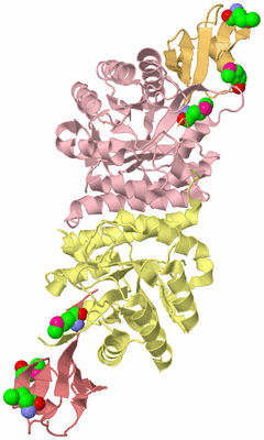 Image Biological Unit 2