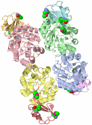 Image Biological Unit 3