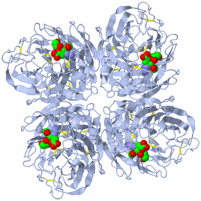 Image Biological Unit 1