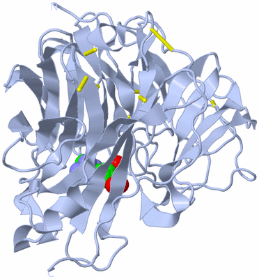 Image Biological Unit 2