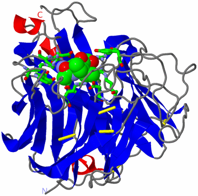 Image Asym. Unit - sites