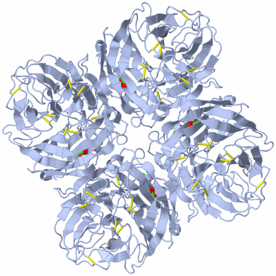 Image Biological Unit 1