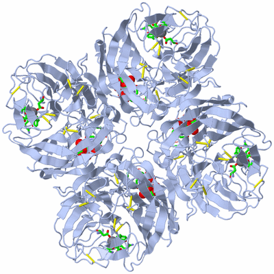 Image Biol. Unit 1 - sites