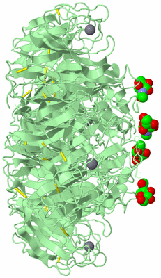 Image Biological Unit 2