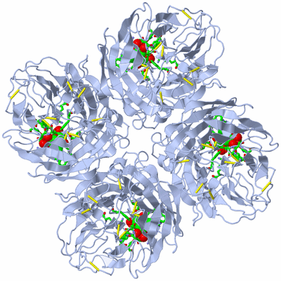 Image Biol. Unit 1 - sites