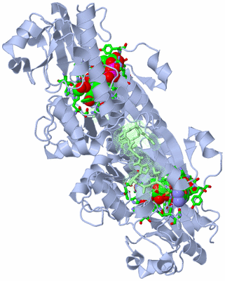 Image Biol. Unit 1 - sites