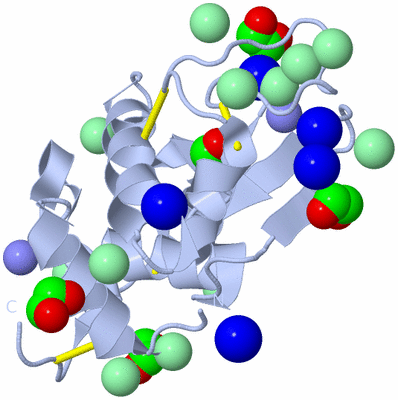 Image Biological Unit 1