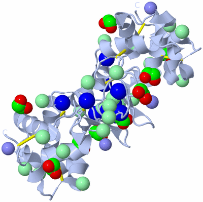 Image Biological Unit 2