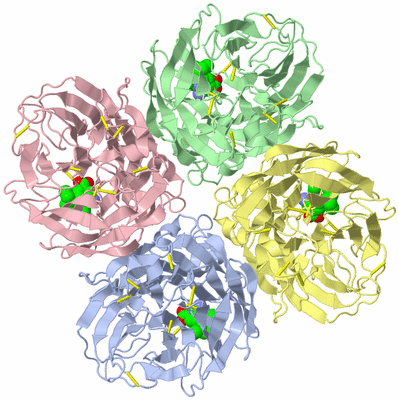 Image Biological Unit 1