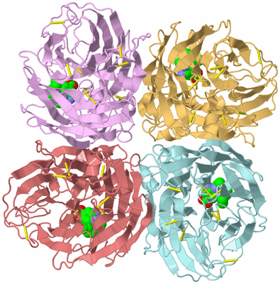 Image Biological Unit 2