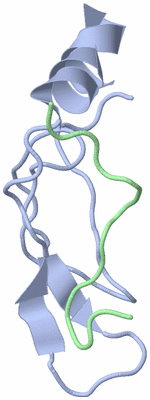 Image NMR Structure - model 1