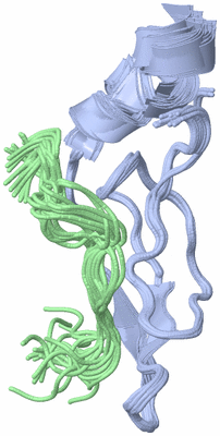 Image NMR Structure - all models