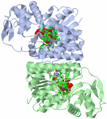 Image Asym./Biol. Unit - sites