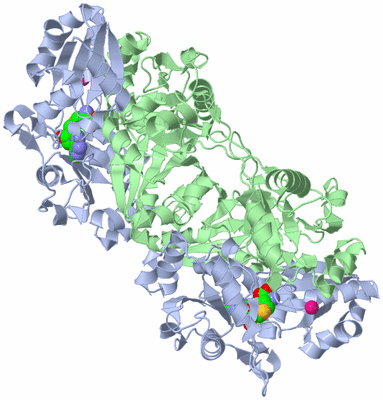 Image Biological Unit 2