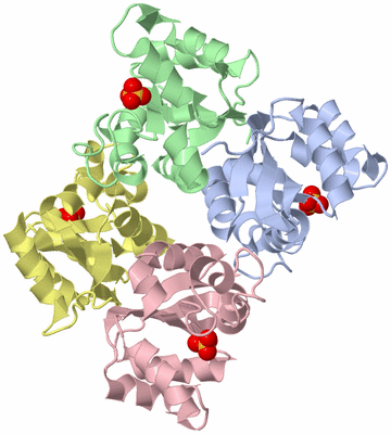 Image Biological Unit 1