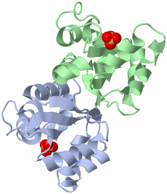 Image Biological Unit 3