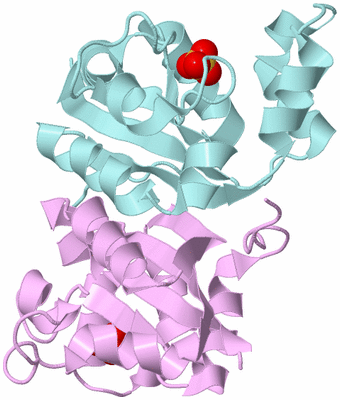 Image Biological Unit 4