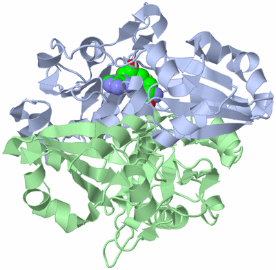 Image Asym./Biol. Unit