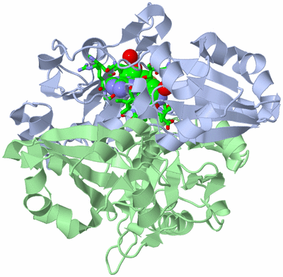 Image Asym./Biol. Unit - sites