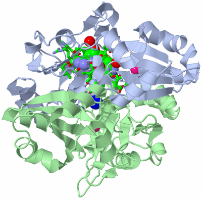 Image Asym./Biol. Unit - sites