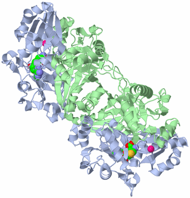 Image Biological Unit 2