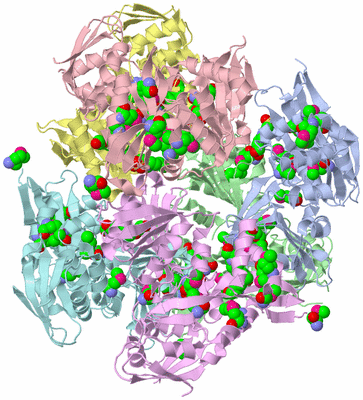 Image Asym./Biol. Unit