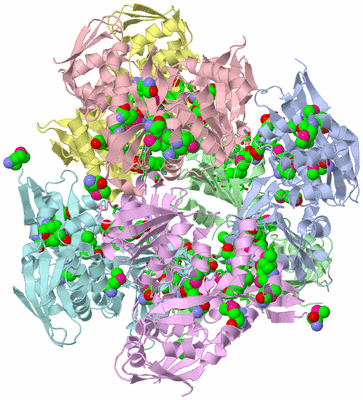 Image Asym./Biol. Unit - sites