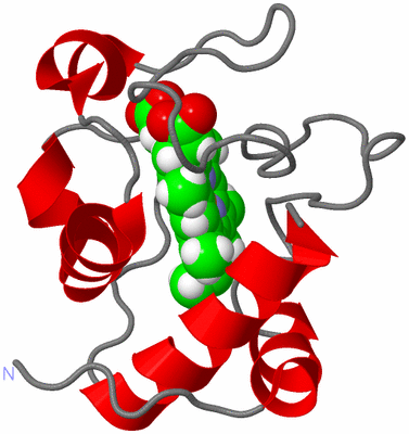 Image NMR Structure - model 1