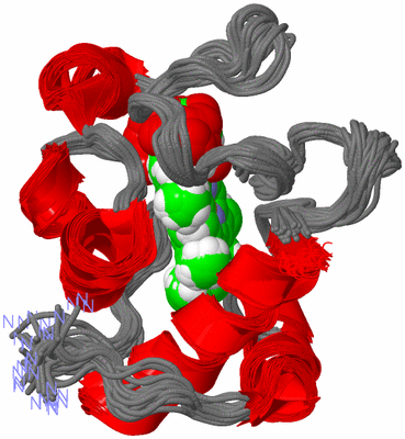 Image NMR Structure - all models