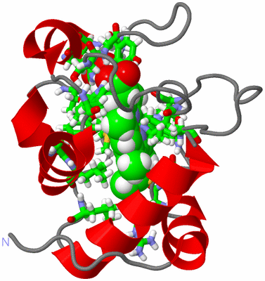 Image NMR Structure - model 1, sites