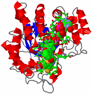 Image Asym./Biol. Unit - sites