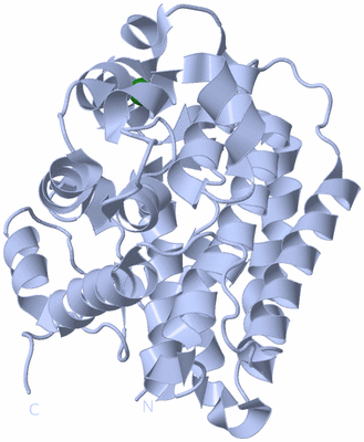 Image Biological Unit 1