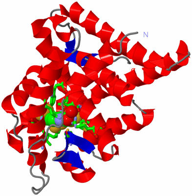 Image Asym./Biol. Unit - sites