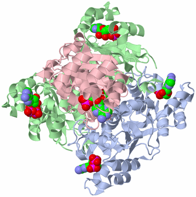 Image Biological Unit 1