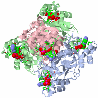 Image Biol. Unit 1 - sites