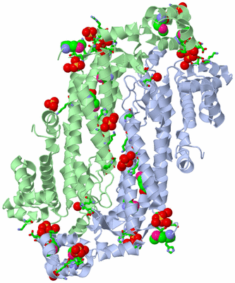 Image Biol. Unit 1 - sites