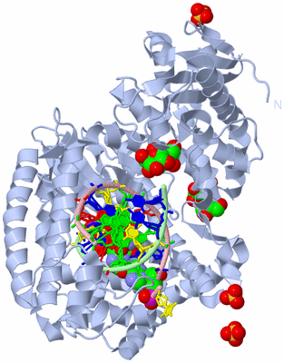 Image Biological Unit 1