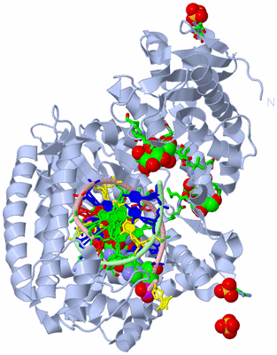 Image Biol. Unit 1 - sites