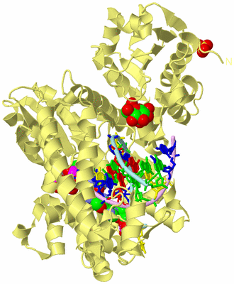 Image Biological Unit 2