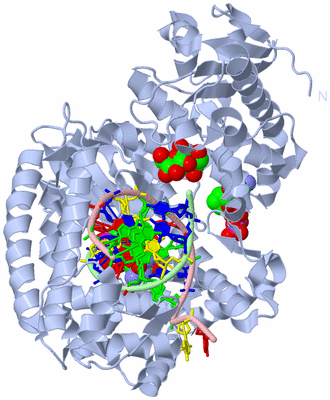 Image Biological Unit 1