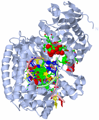 Image Biol. Unit 1 - sites