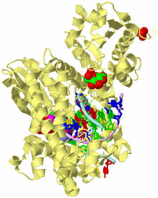 Image Biological Unit 2