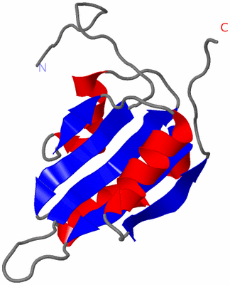 Image NMR Structure - model 1