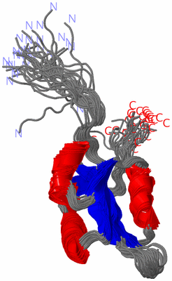 Image NMR Structure - all models