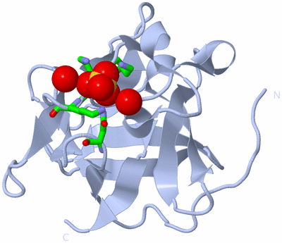 Image Biol. Unit 1 - sites