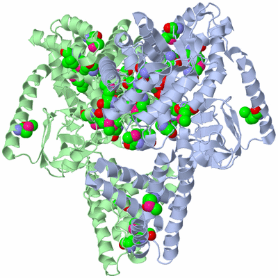 Image Asym./Biol. Unit