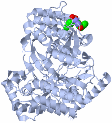 Image Biological Unit 1