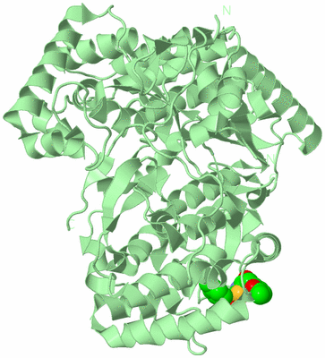 Image Biological Unit 2